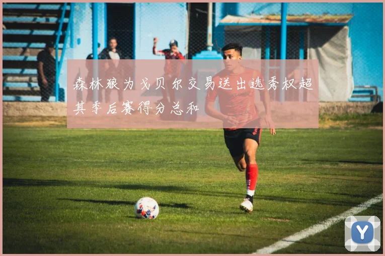 森林狼为戈贝尔交易送出选秀权超其季后赛得分总和
